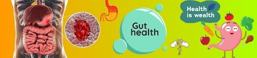 Gut Health and Immunity: How Your Digestive System Shapes Overall Wellness