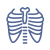 bones