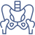 pelvis